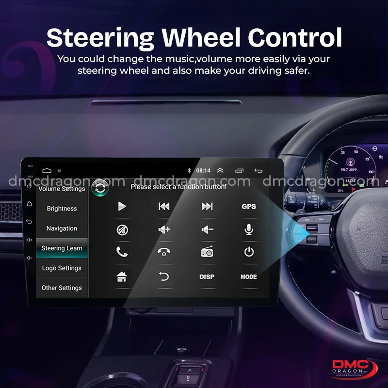 steering wheel control caska