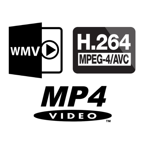 Video CODEC